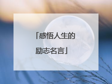 感悟人生的励志名言