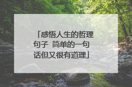 感悟人生的哲理句子 简单的一句话但又很有道理