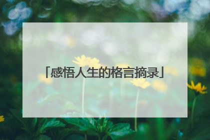 感悟人生的格言摘录