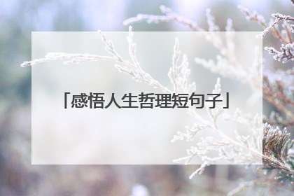 感悟人生哲理短句子