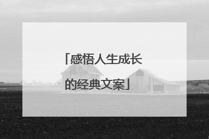 感悟人生成长的经典文案