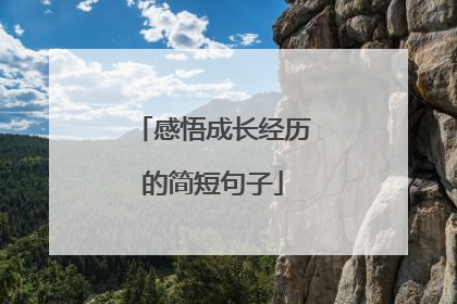 感悟成长经历的简短句子