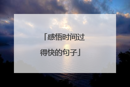 感悟时间过得快的句子