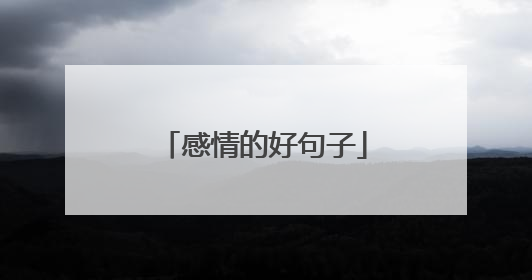 感情的好句子