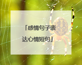 感情句子表达心情短句