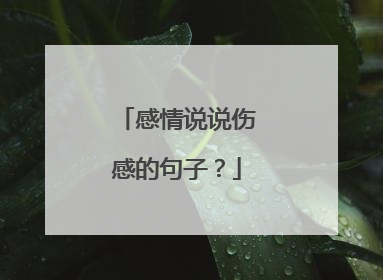 感情说说伤感的句子？