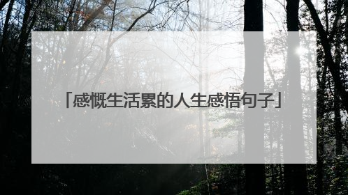 感慨生活累的人生感悟句子