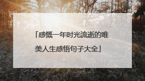 感慨一年时光流逝的唯美人生感悟句子大全