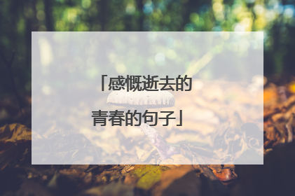 感慨逝去的青春的句子