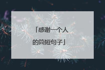 感谢一个人的简短句子