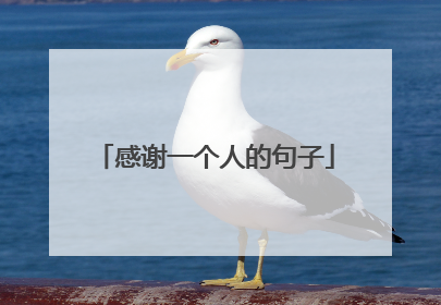 感谢一个人的句子