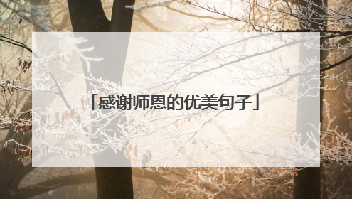 感谢师恩的优美句子