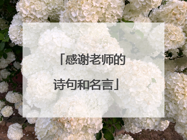 感谢老师的诗句和名言