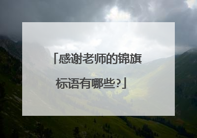 感谢老师的锦旗标语有哪些?