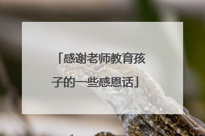 感谢老师教育孩子的一些感恩话