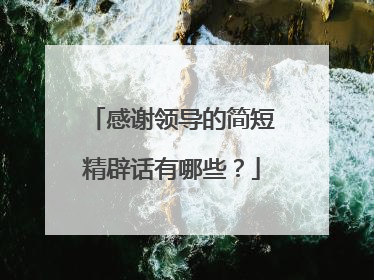 感谢领导的简短精辟话有哪些？