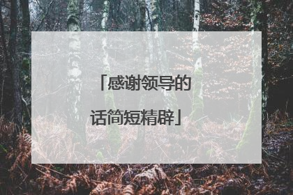 感谢领导的话简短精辟
