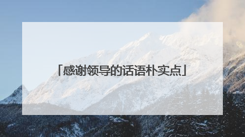 感谢领导的话语朴实点