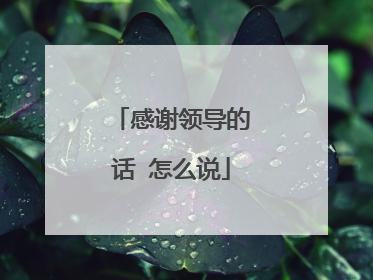 感谢领导的话 怎么说