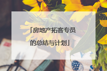 房地产拓客专员的总结与计划