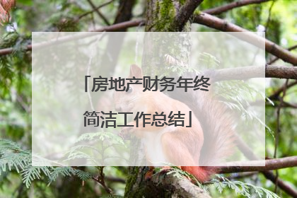 房地产财务年终简洁工作总结