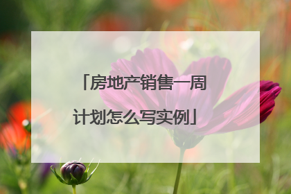 房地产销售一周计划怎么写实例