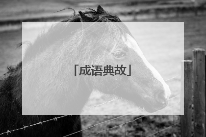 成语典故