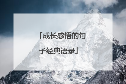成长感悟的句子经典语录