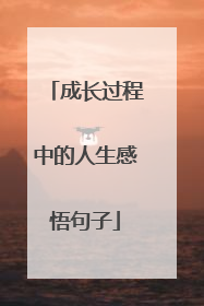 成长过程中的人生感悟句子