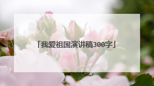 我爱祖国演讲稿300字