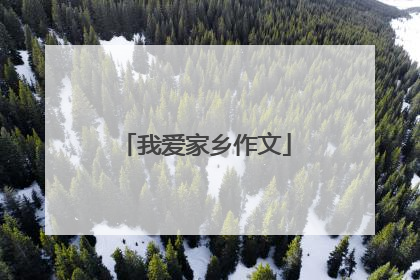 我爱家乡作文