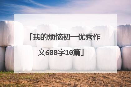我的烦恼初一优秀作文600字10篇