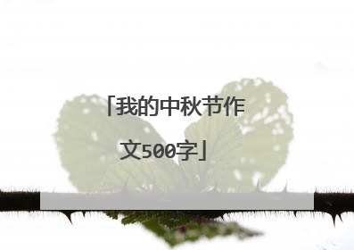 我的中秋节作文500字