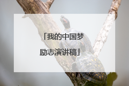 我的中国梦励志演讲稿