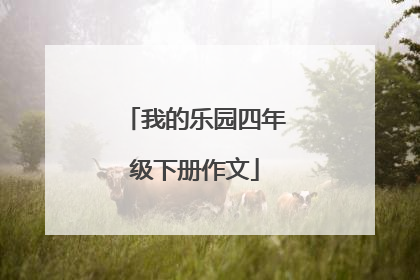 我的乐园四年级下册作文