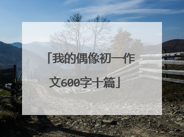 我的偶像初一作文600字十篇