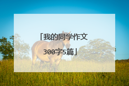 我的同学作文300字5篇