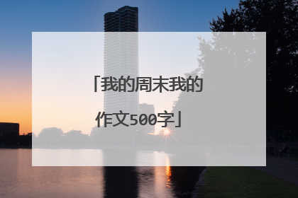 我的周末我的作文500字
