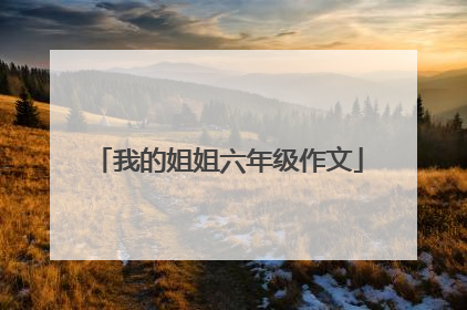我的姐姐六年级作文