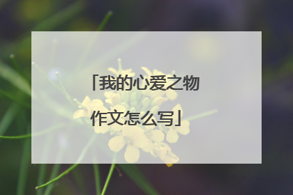 我的心爱之物作文怎么写