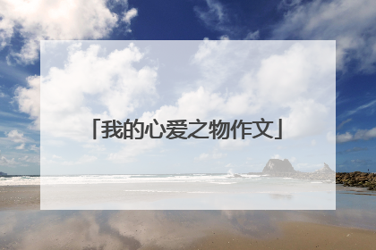 我的心爱之物作文