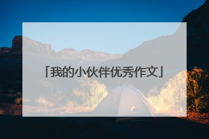 我的小伙伴优秀作文