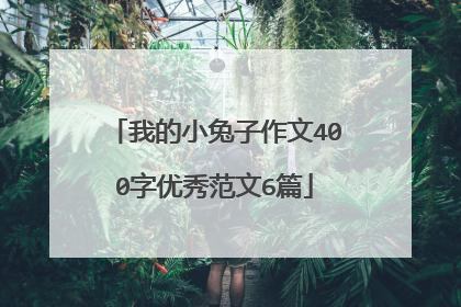 我的小兔子作文400字优秀范文6篇