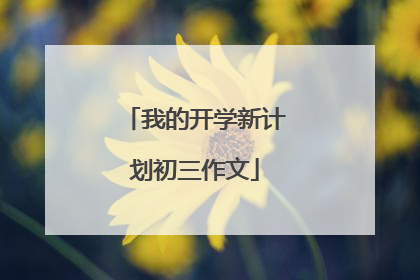 我的开学新计划初三作文