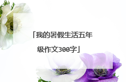 我的暑假生活五年级作文300字