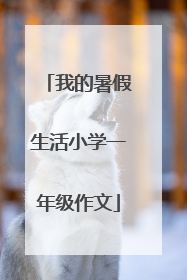 我的暑假生活小学一年级作文
