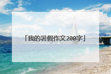我的暑假作文200字