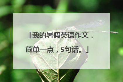 我的暑假英语作文，简单一点，5句话。