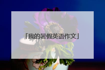 我的暑假英语作文
