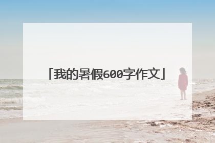我的暑假600字作文